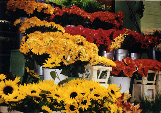 flower_market1.jpg