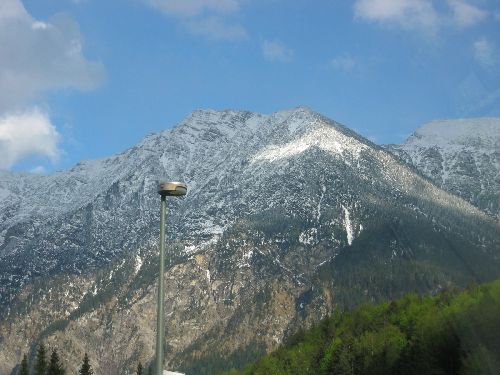 IMG_1442.jpg