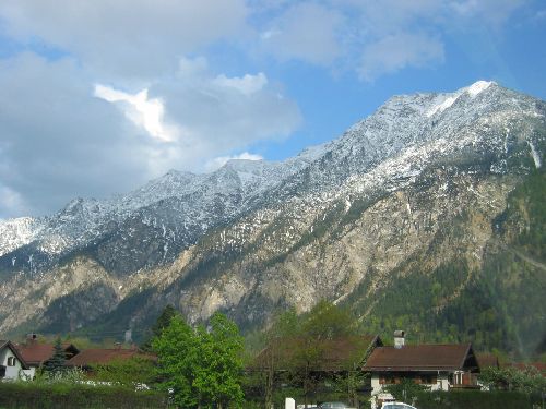 IMG_1443.jpg